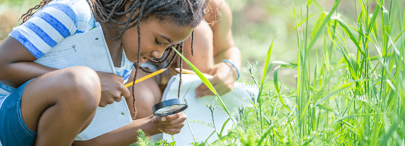 Children exploring nature during the summer.